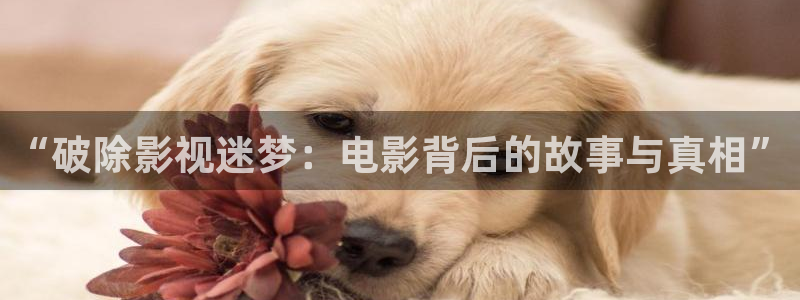 b8yy青苹果福利影院：“破除影视迷梦：电影背后的故事与真相”