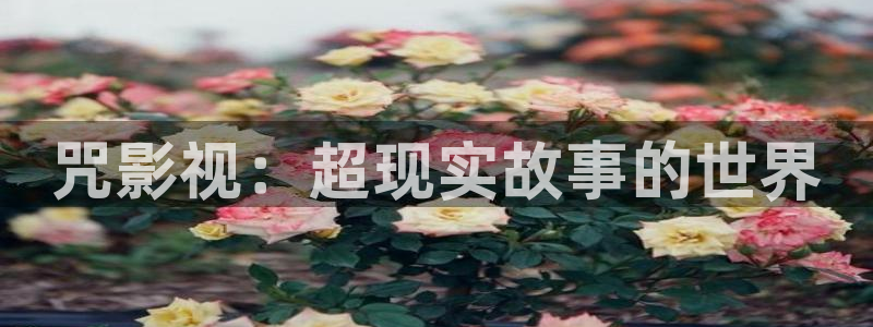 青苹果乐园影院电视剧免费播：咒影视：超现实故事的世界