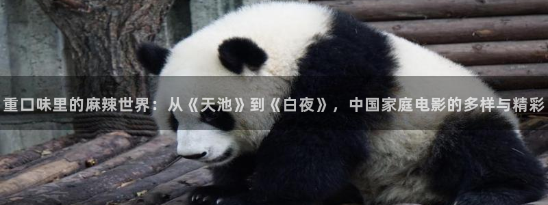 yy6080青苹果免费影院：重口味里的麻辣世界：从《天池》到《白夜》，中国家庭电影的多样与精彩